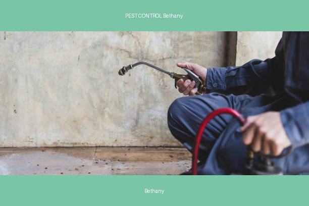 PEST CONTROL Bethany